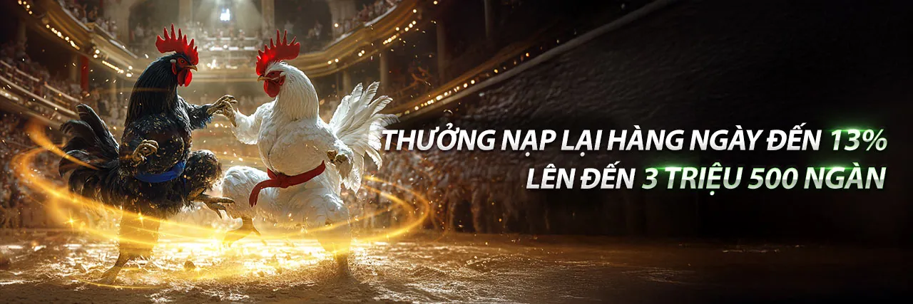 Sân chơi đá gà trực tuyến abc8 đăng nhập